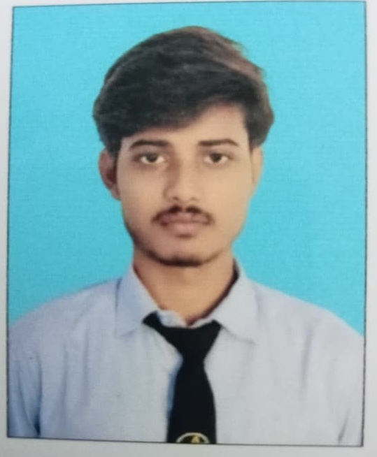 Ankit Raj  - Summer Internship Training
