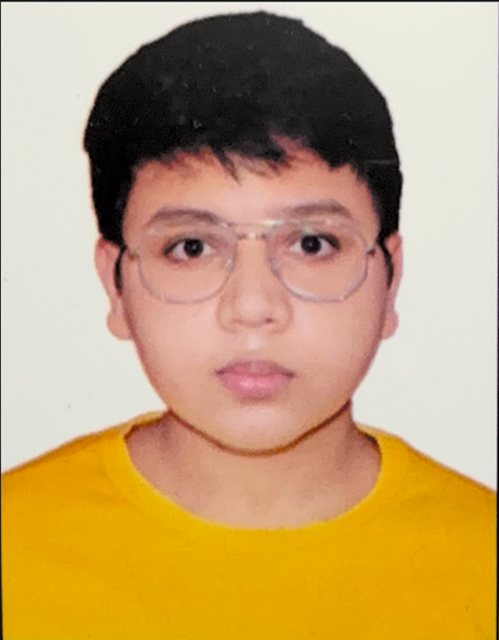 Anshuman Kumar - Summer Internship Training