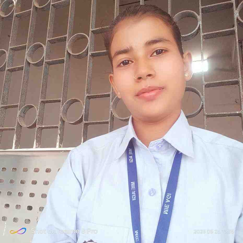 Harshita kumari  - Summer Internship Training