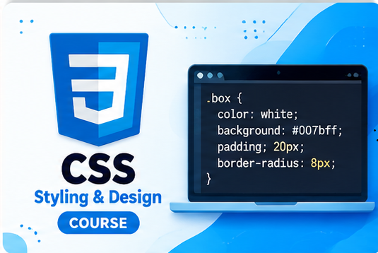 CSS
